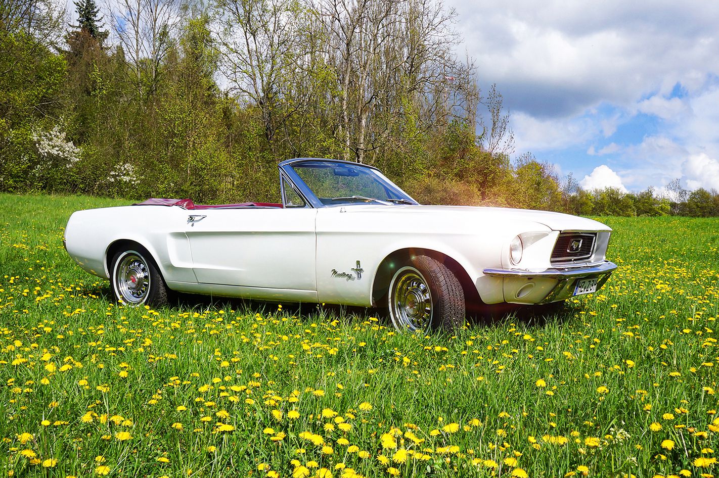 Ford Mustang Oldtimer Tagestour